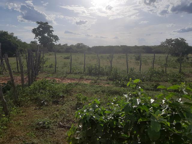 Vendo fazenda em crateus ce ou troco - Foto 8