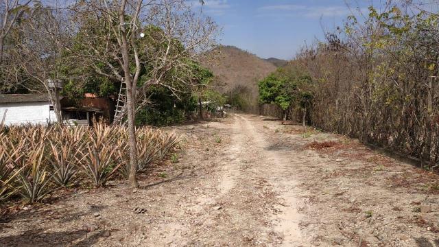 Chácara no rio paciência - Foto 6