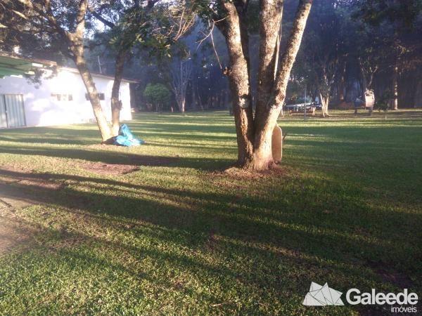 Chácara Barro Preto São José dos Pinhais - Foto 4