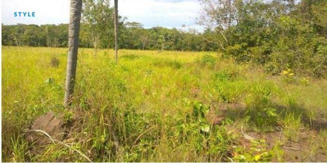 Fazenda em jangada - MT - Foto 4