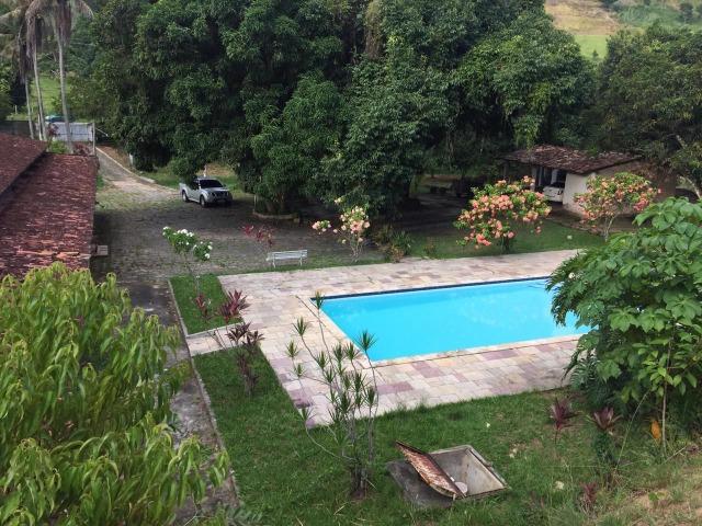 Vendo Chácara em Ribeirão PE - 10 hectares - Foto 8