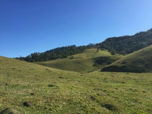 Fazenda anitápolis - Foto 5