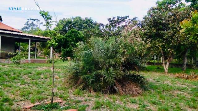 Chácara na Beira de Rio com 4 dormitórios à venda, 3600 m² por R$ 260.000 - Zona Rural - S - Foto 20