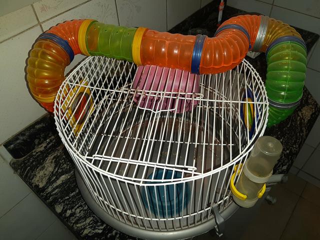 Gaiola hamster/rato