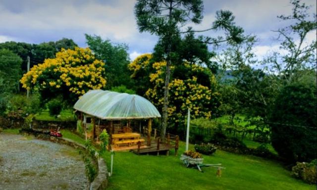 Vinícola em Gramado em produção - Foto 16