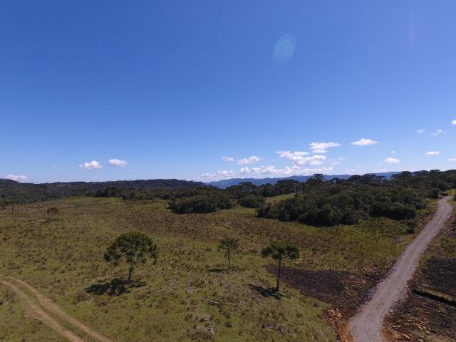 Sitio chácara em Urubici/ área rural - Foto 2