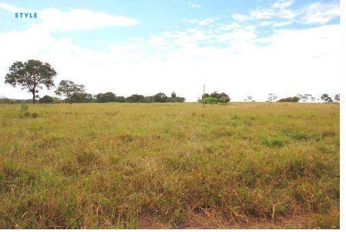 Fazenda em jangada - MT - Foto 18