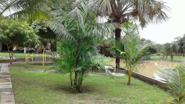 Lindo sitio pertinho da general Arthur carvalho e praia do Araçagi!! - Foto 16