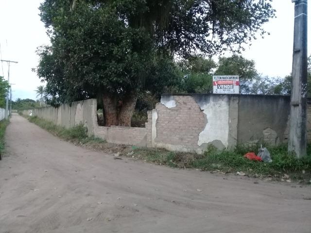 Excelente área de terra no povoado de boa hora, próximo ao parque viver tomba - Foto 6