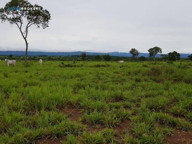 Fazenda em Porto Esperidião - Foto 10