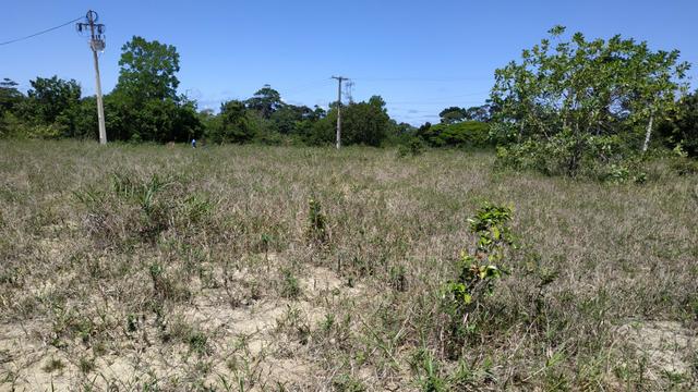 Terreno Olhos dagua - Foto 2