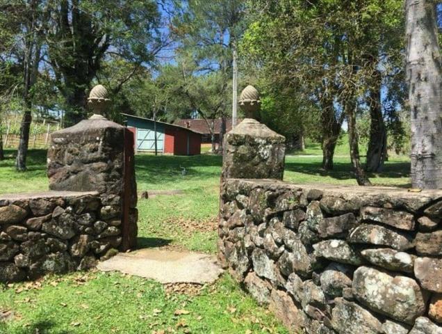 Vinícola em Gramado em produção - Foto 20