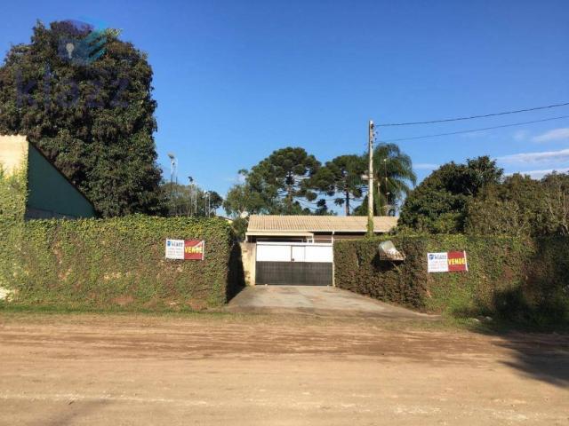 Terreno para construtores 15x55 - Foto 10