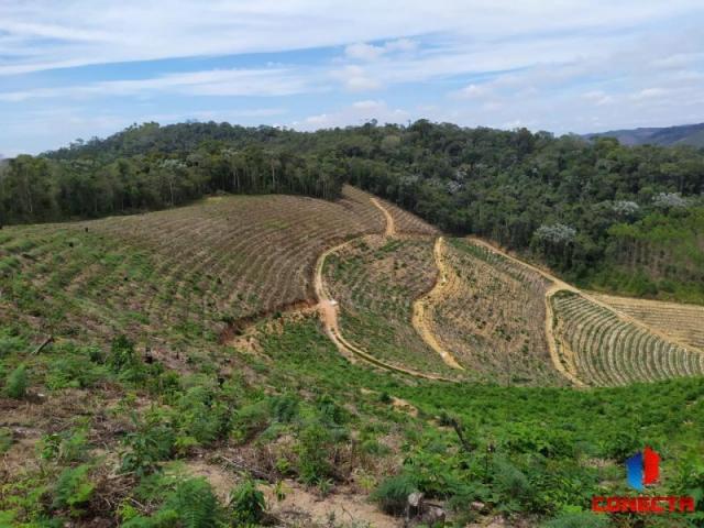 Terreno para Venda em Santa Maria de Jetibá, Centro - Foto 4