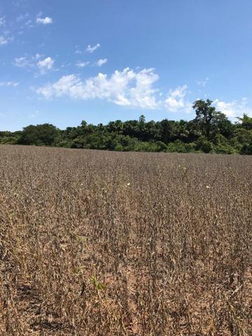 Fazenda Porangatu 100 alqueros