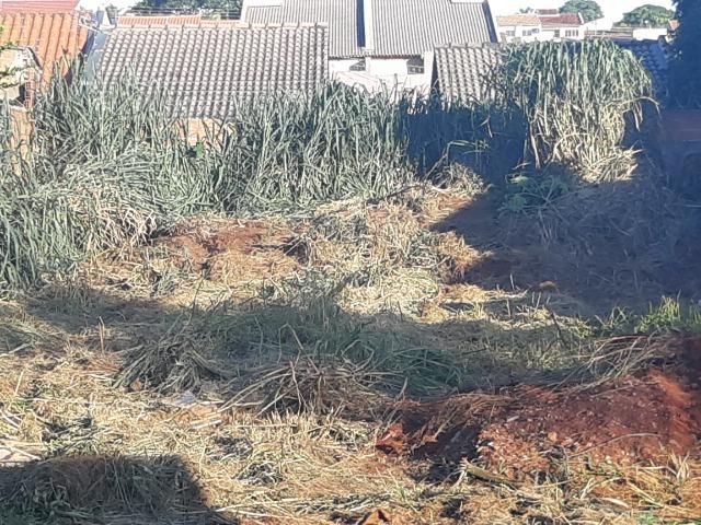 Lote Jardim Fonte Nova - Foto 4