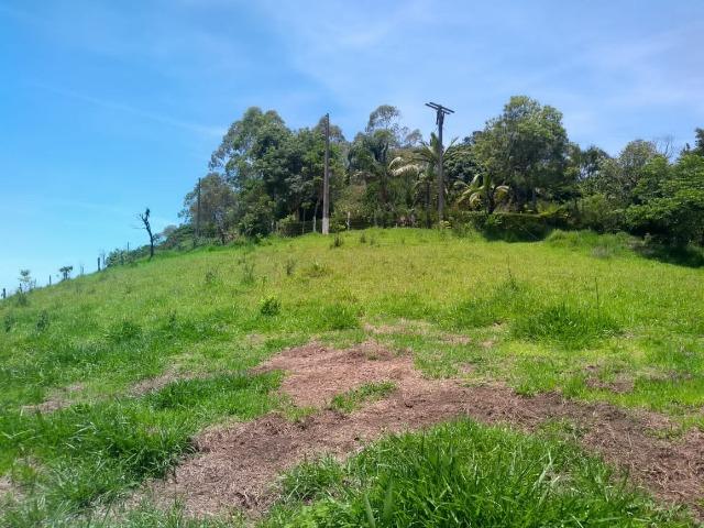 05- Paz em um lote de 1000mt² em área Rural - Foto 3