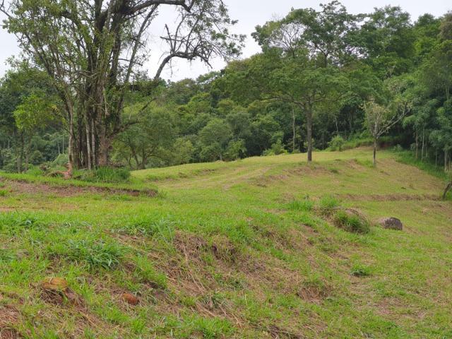 05- Alô Região ótimos preços em 1000mt² - Foto 15