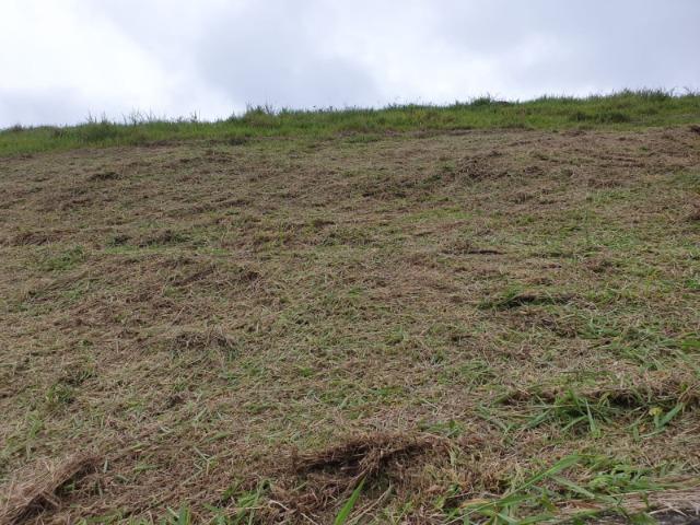 05- Alô Região ótimos preços em 1000mt² - Foto 16