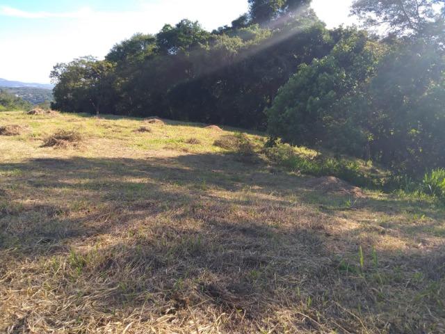 05- Paz em um lote de 1000mt² em área Rural - Foto 13