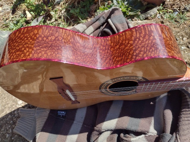 viola luthier (varios)