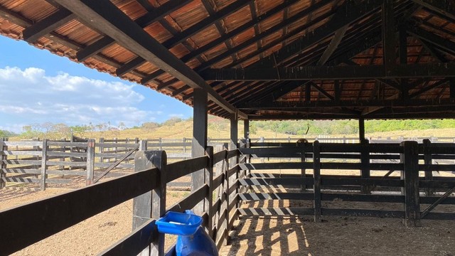 Fazenda de 120 Alqueires em Pirenópolis* - Foto 3