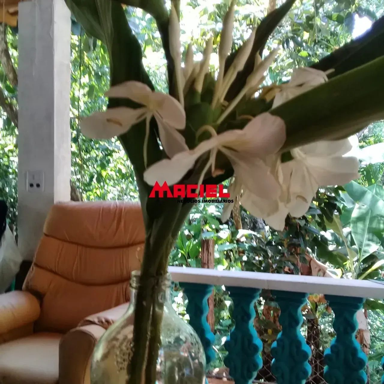 Exuberante Sítio de 20.132 m² em São José dos Campos Um Paraíso Natural com Água, Lazer e  - Foto 12