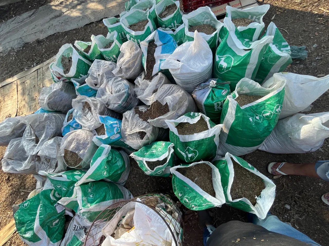 Esterco, cama de frango, adubo orgânico 