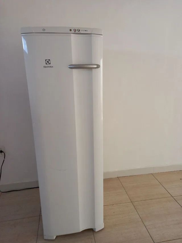 Freezer vertical