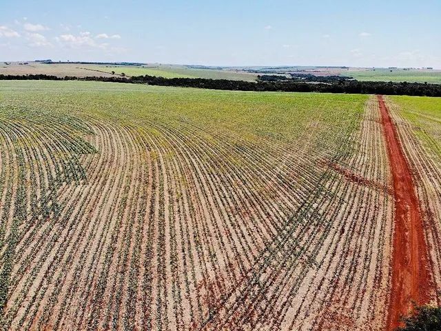 Fazenda na Regiao de Maringá   242 alqueiro