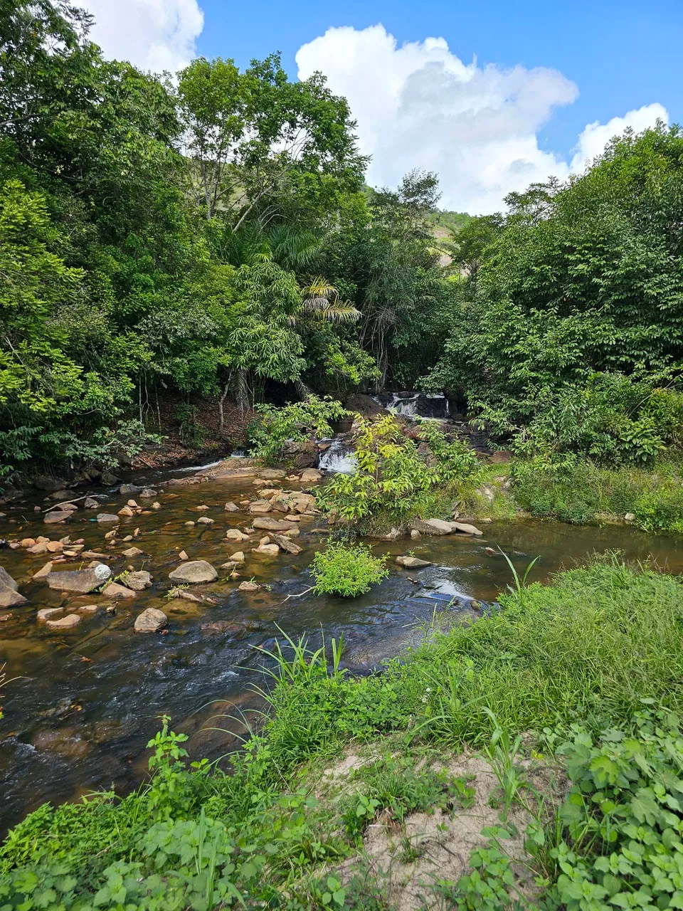 Sítio 20 hectares em Joaquim Gomes