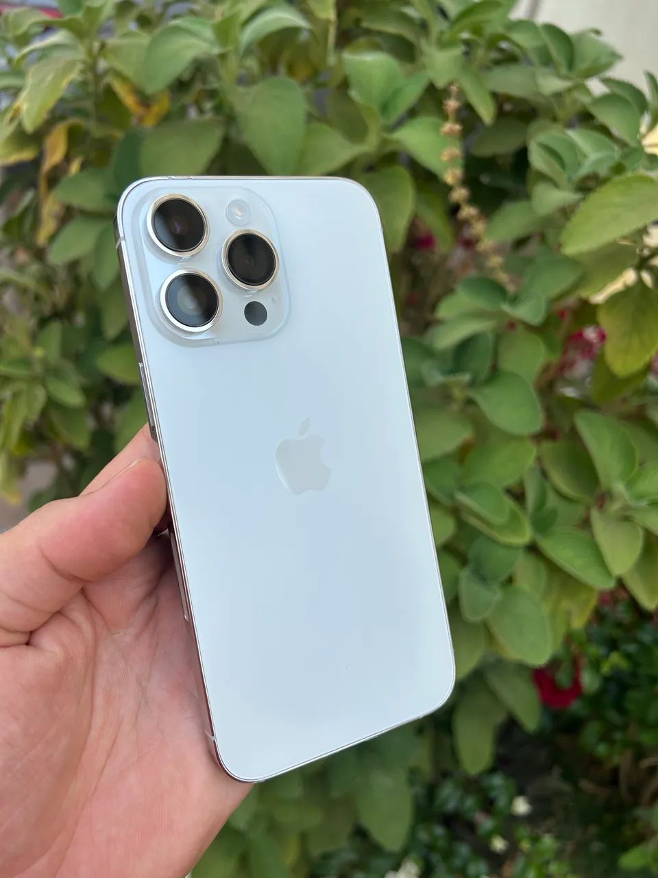 iPhone 13 Pro シルバー　128G iPhone 13 Pro 128GB SILVER (seminovo) – LS