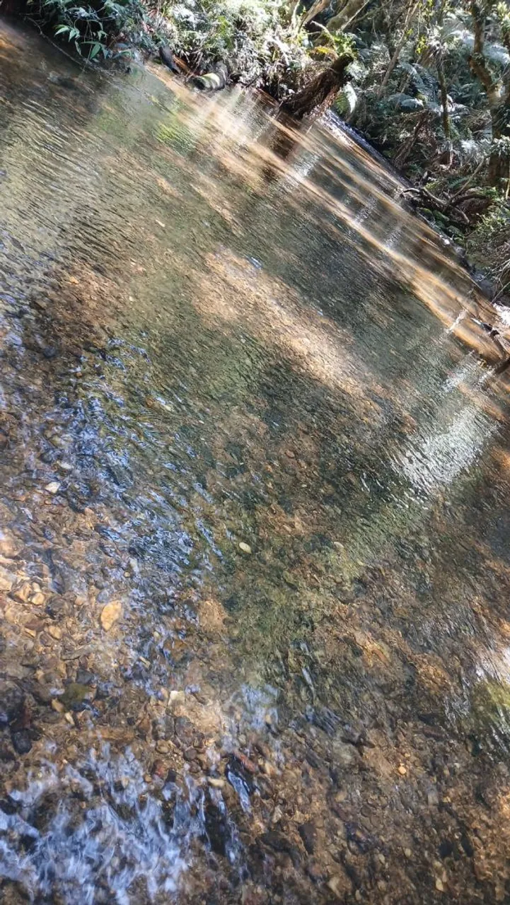 Vendo chácara em Bocaiúva do Sul