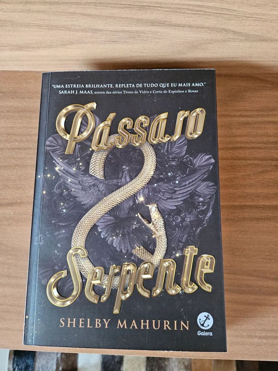 Coleção Pássaro e Serpente - Shelby Mahurin - Foto 3
