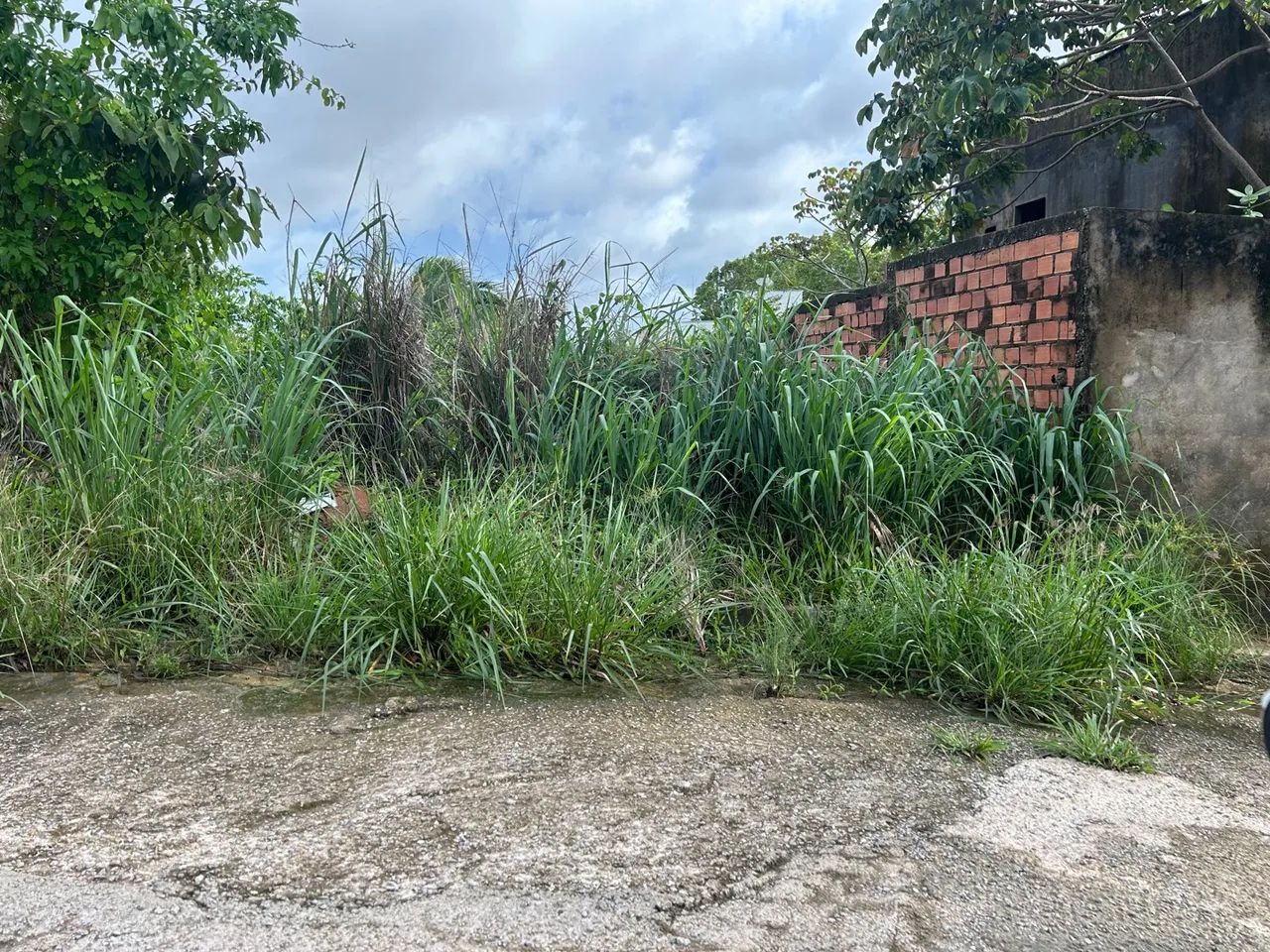 Vende terreno 15x30 central park II aceito carro - Foto 2