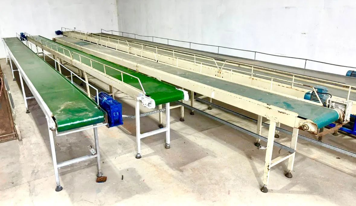 Esteira transportadora 52 metros 5 módulos completos 