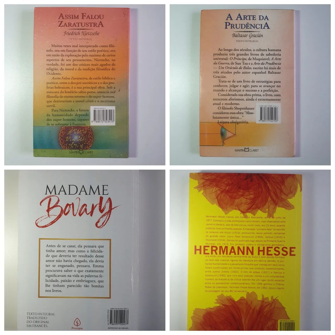 Zaratustra, Bovary, Demian, Prudência - Foto 2