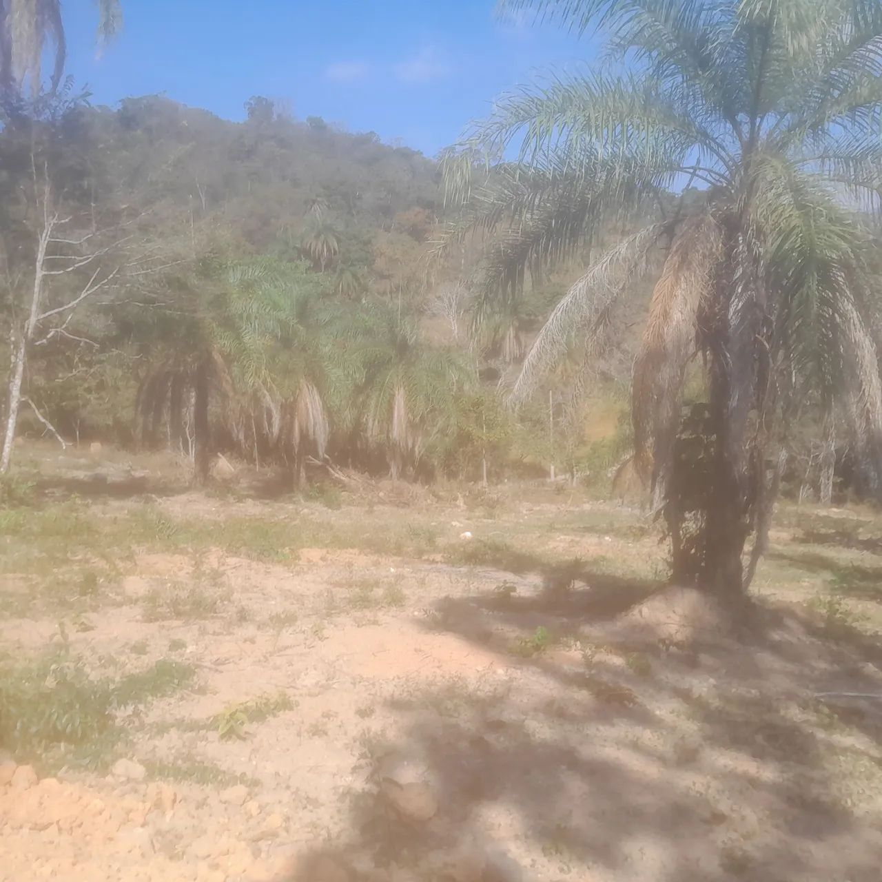 Chacara rural no sítio novo  - Foto 3