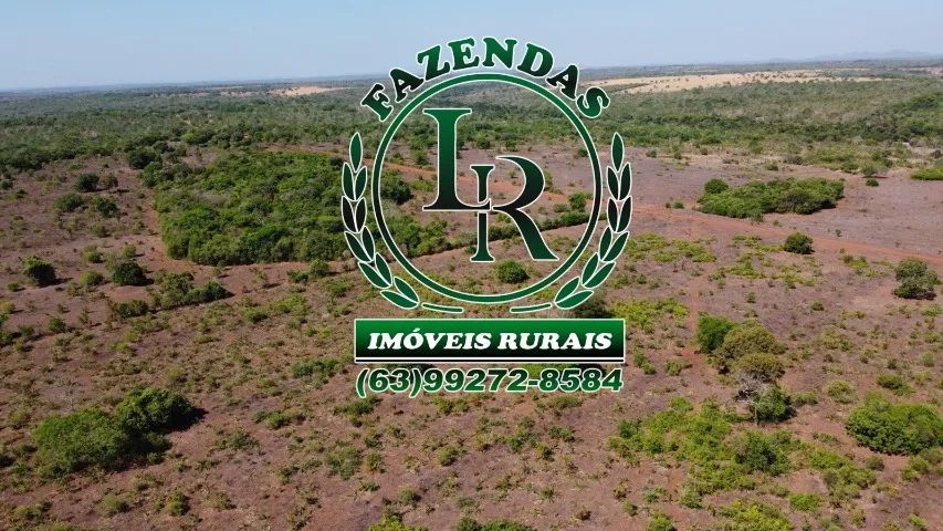 Fazenda 119 Alqueires Vale do Araguaia - Foto 3