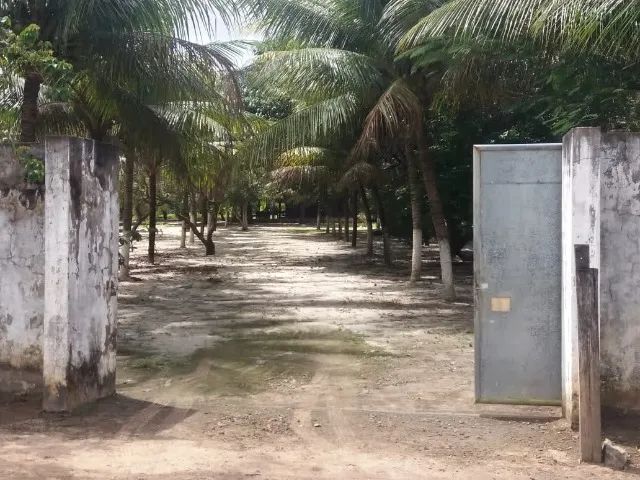 Chácara em Macaíba/RN - Venda ou Aluguel - Foto 5