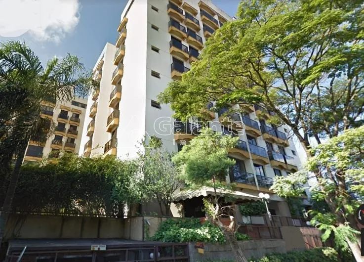 apartamento - Jardim das Paineiras - Campinas