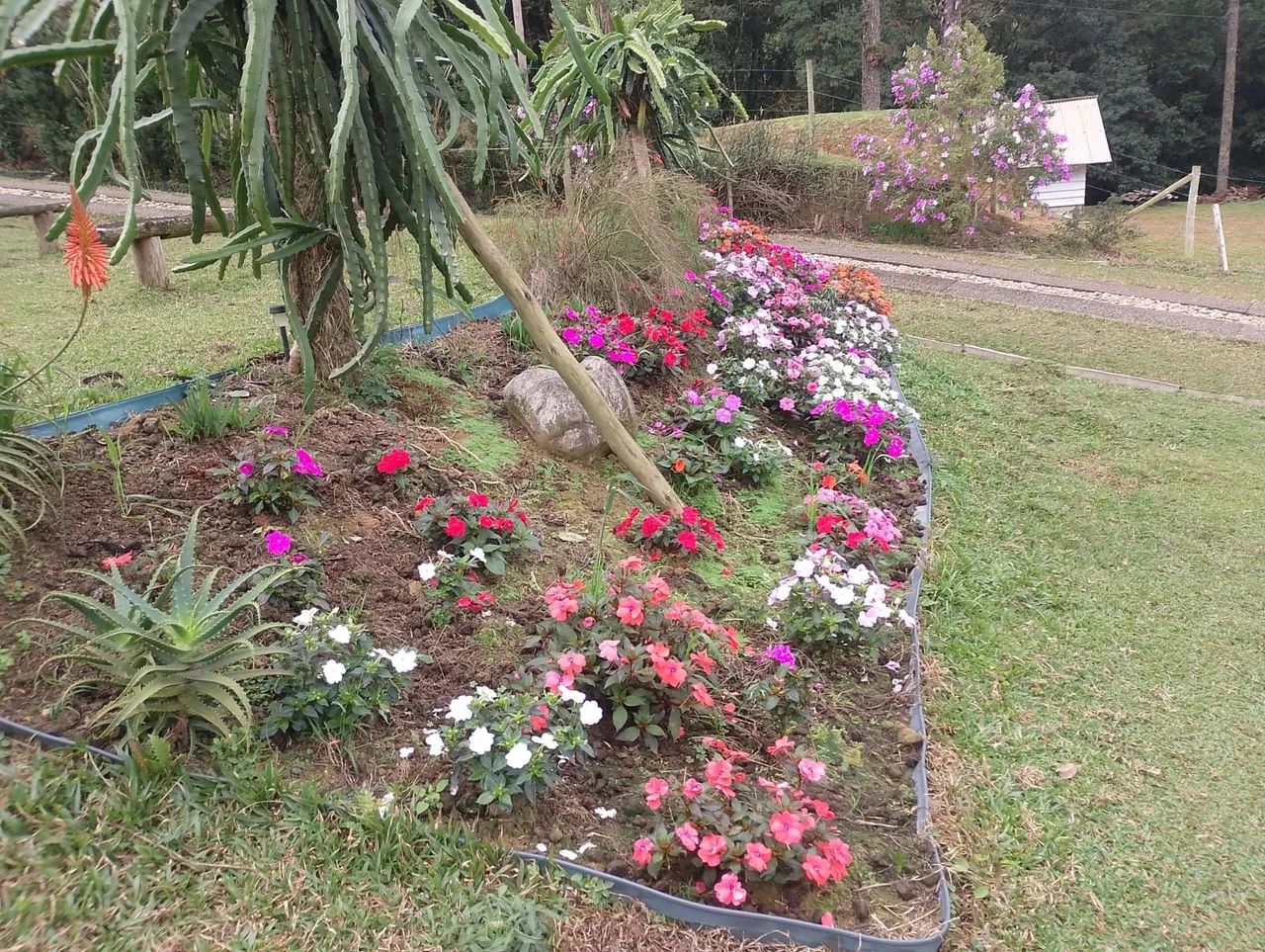 ANITÁPOLIS/SC - Belíssimo sítio apenas 3km do centro - Foto 4
