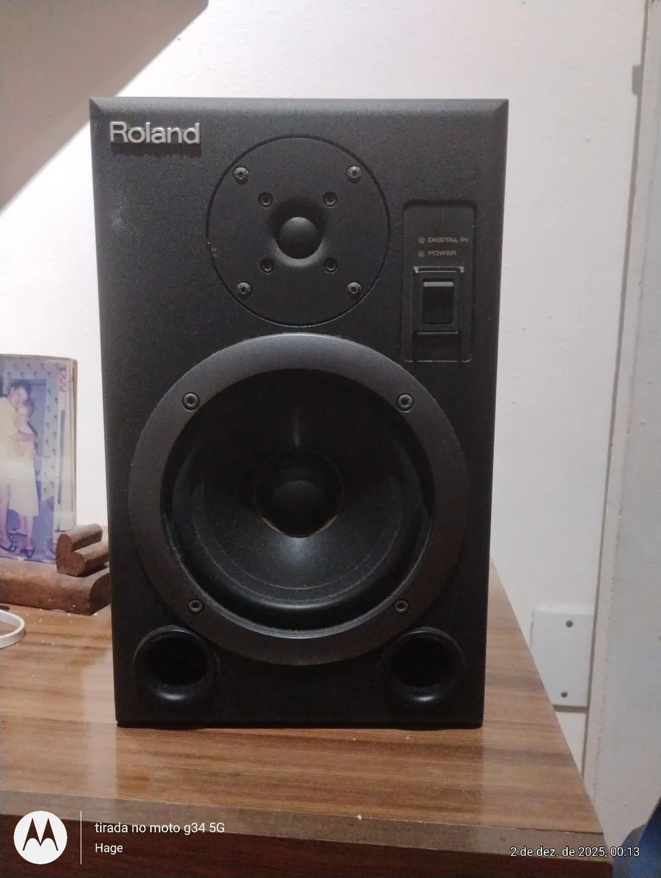 Roland DS-5 Bi-Amp Monitor Speaker