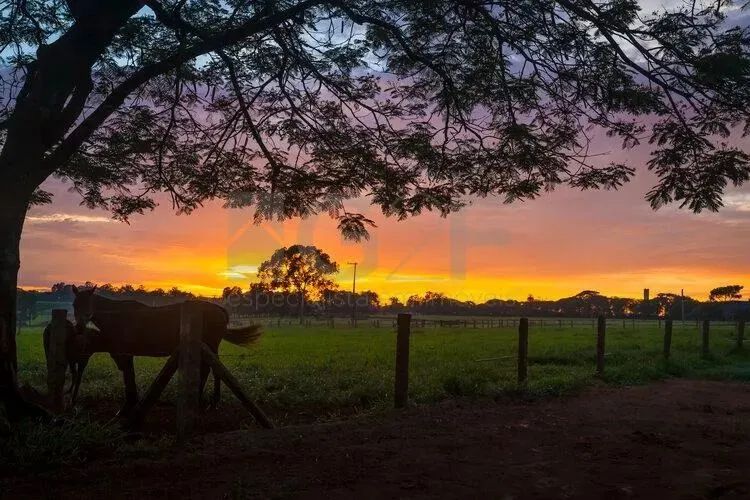 Terreno à venda no Haras Patente Jaguariúna. - Foto 3