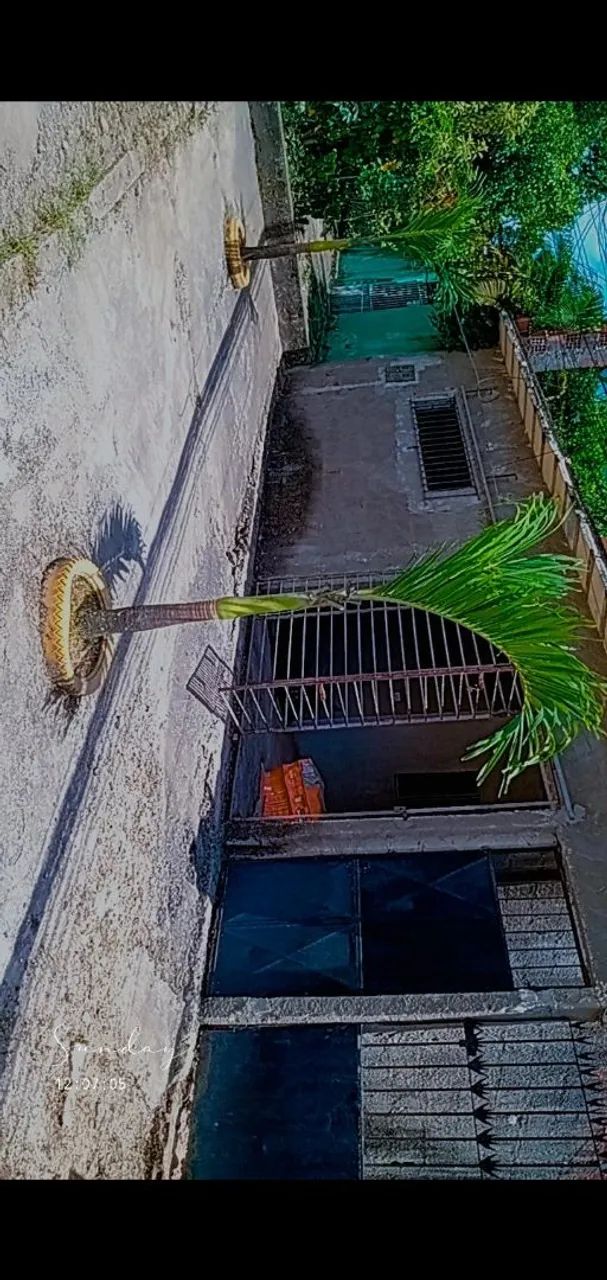 Foto - Camaragibe - Jardim Primavera