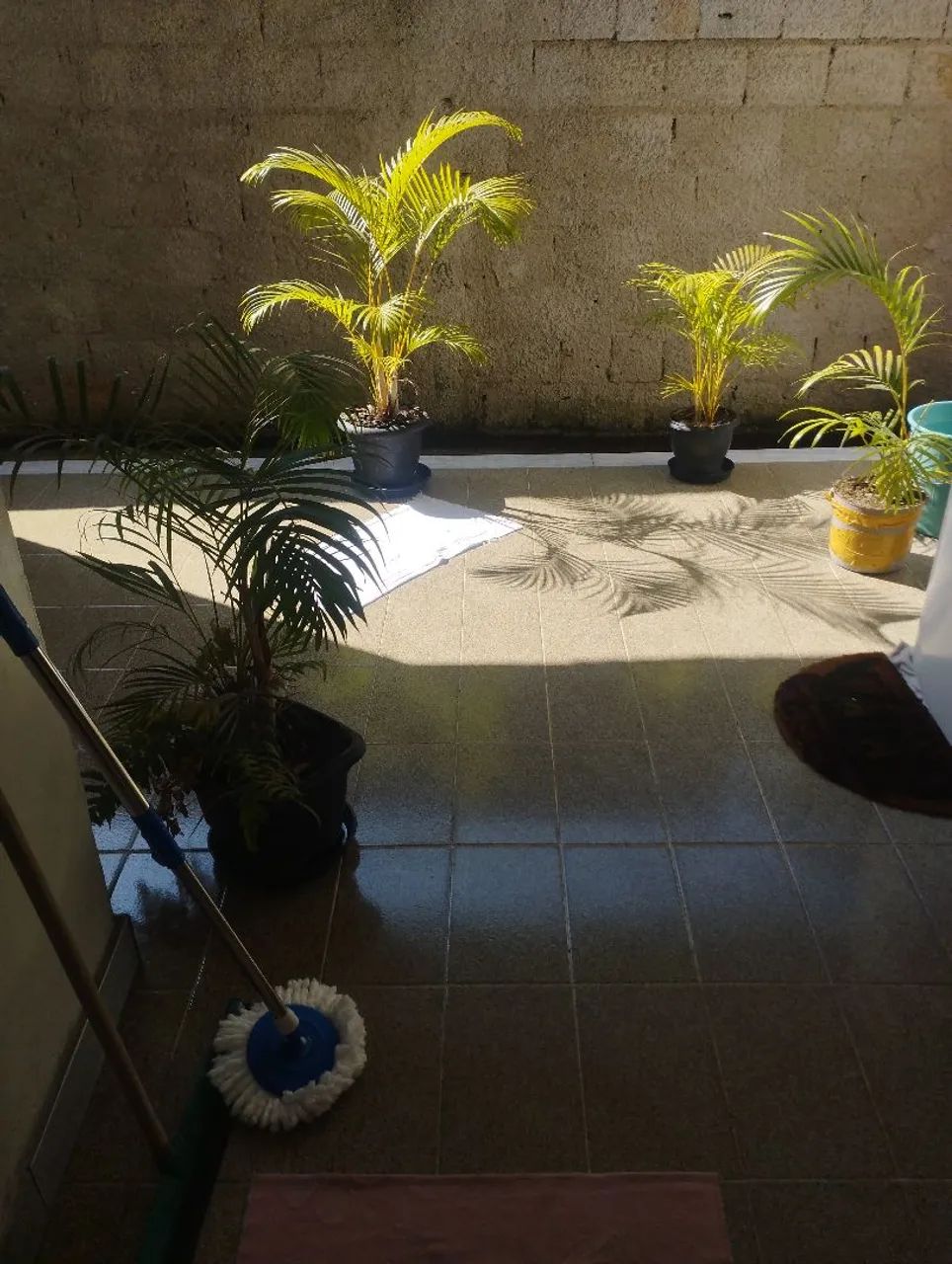 Foto - São Gonçalo - Trindade