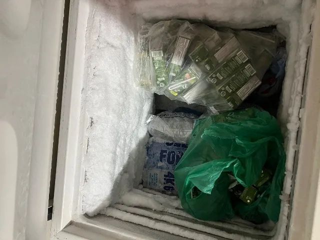 Freezer 3 mês de garantia  - Foto 3