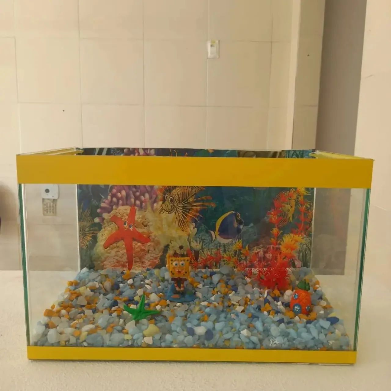 Limpeza de aquário - Foto 4