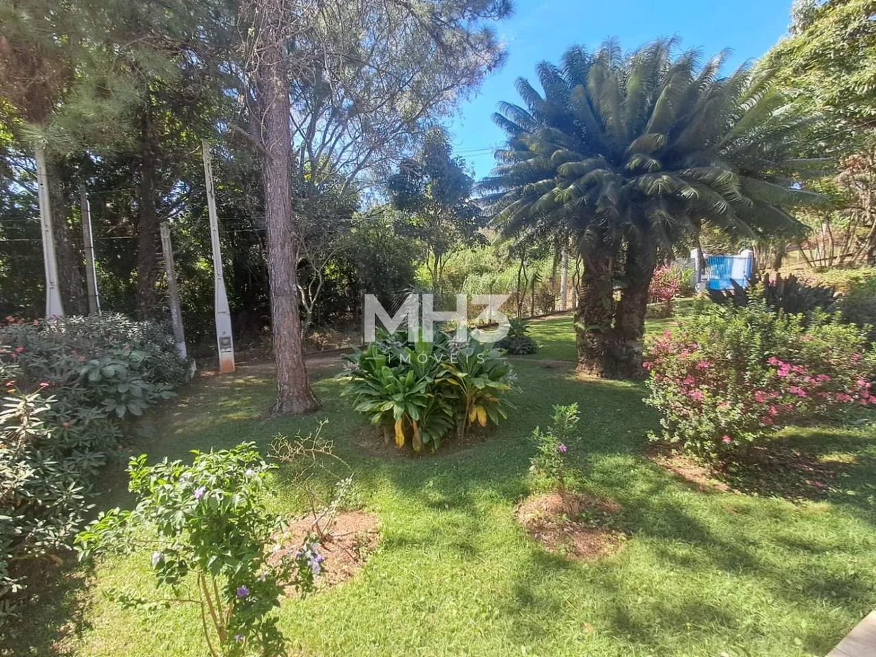 chácara - Chácaras São Martinho - Campinas - Foto 5