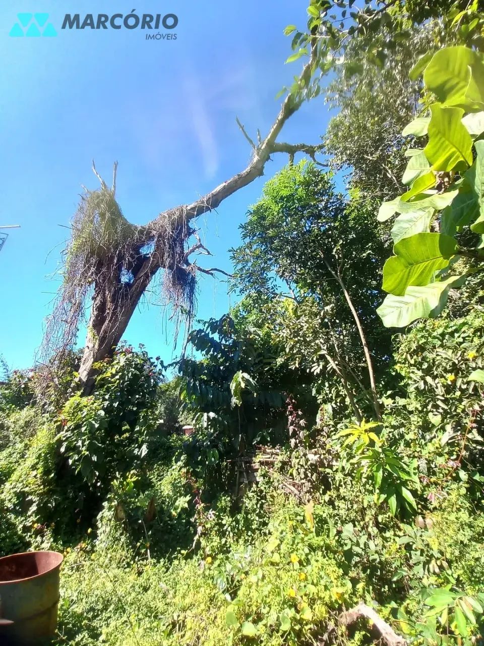 Chácara à venda, Condomínio das Palmeiras, Bela Vista de Goiás, GO - Foto 6